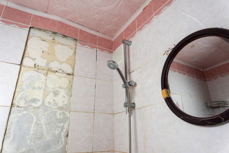 Top Shower Remodeling Companies in Sanger, TX